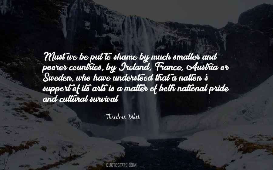 Support The Arts Quotes #907478