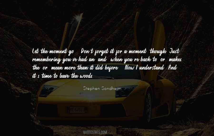 The More You Understand Quotes #964623
