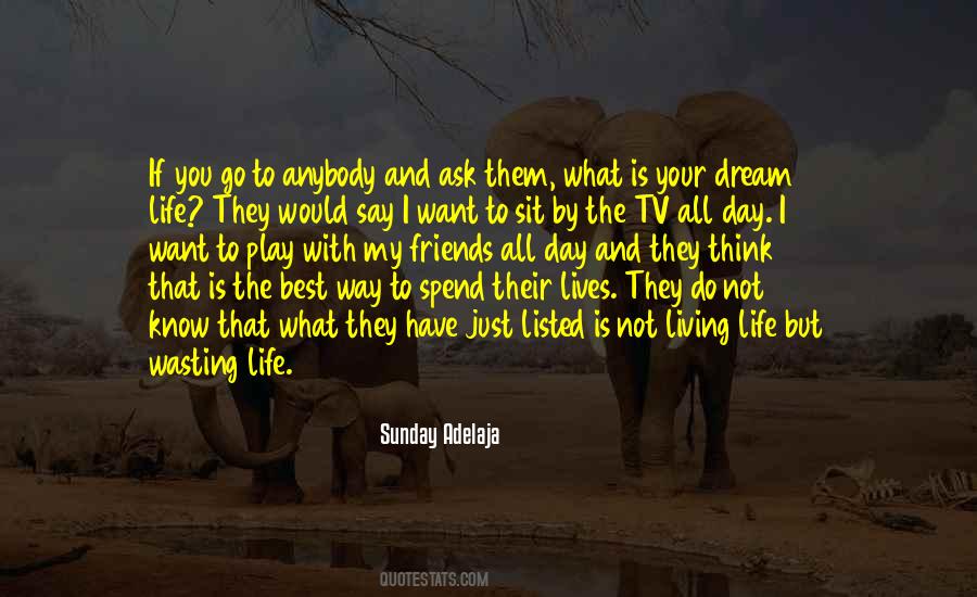 Living My Dream Quotes #1116643