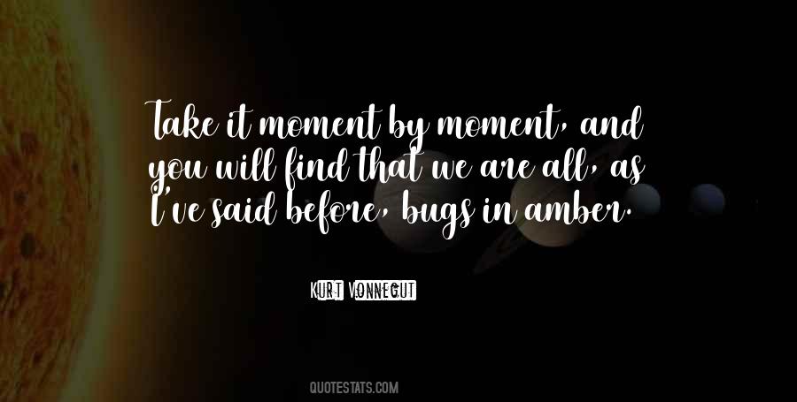 Take It Moment By Moment Quotes #1464938
