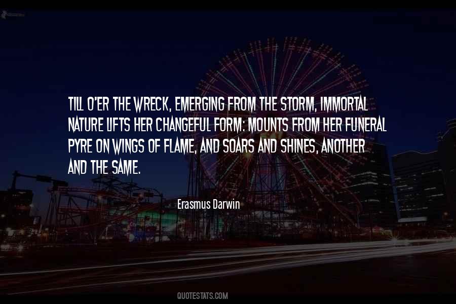 If I Have Wings Quotes #83961