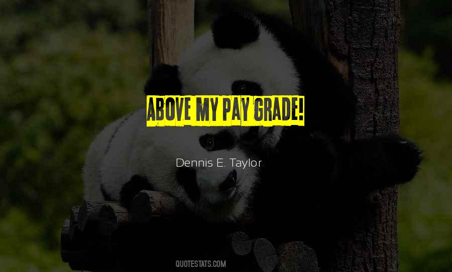 Above My Pay Grade Quotes #187951
