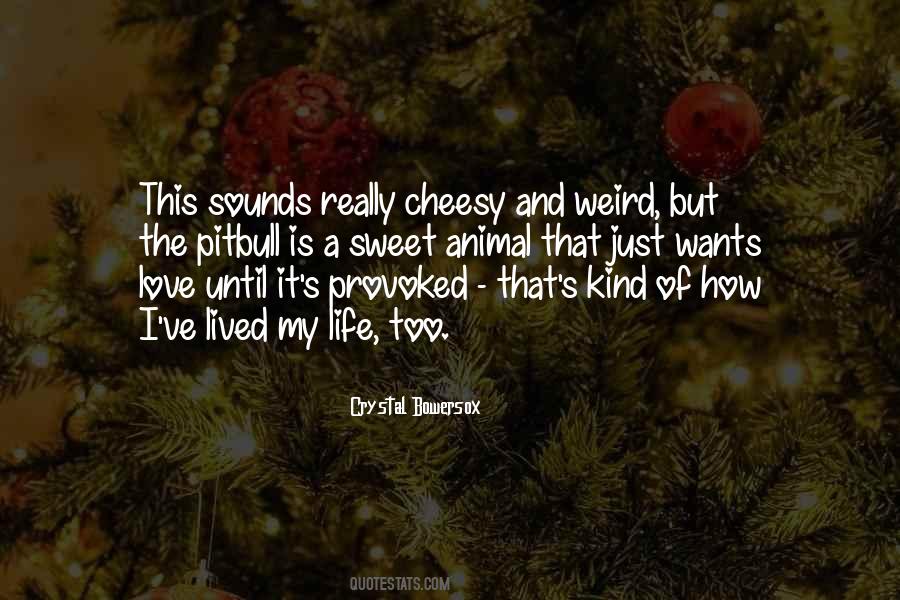 Love Cheesy Quotes #1523935