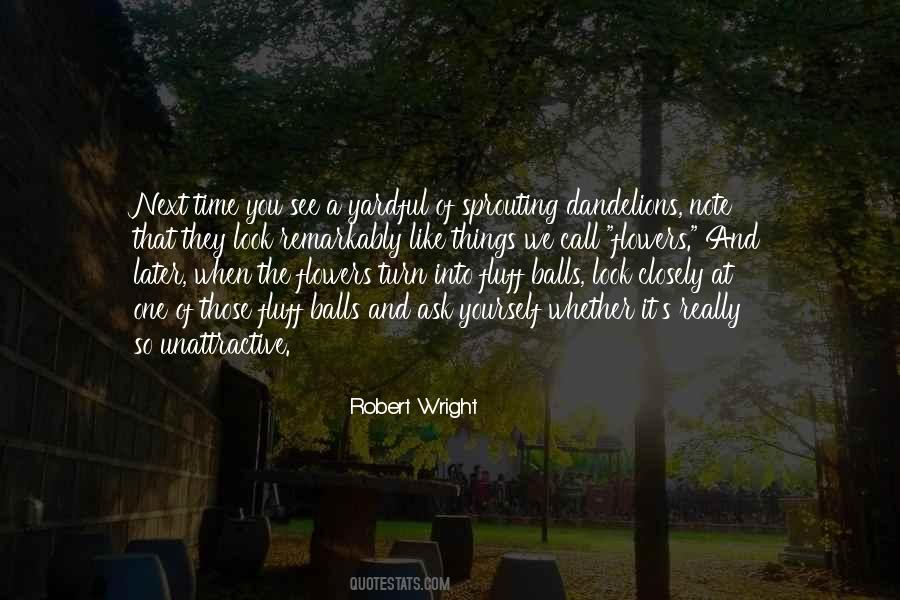 Look See Quotes #26249