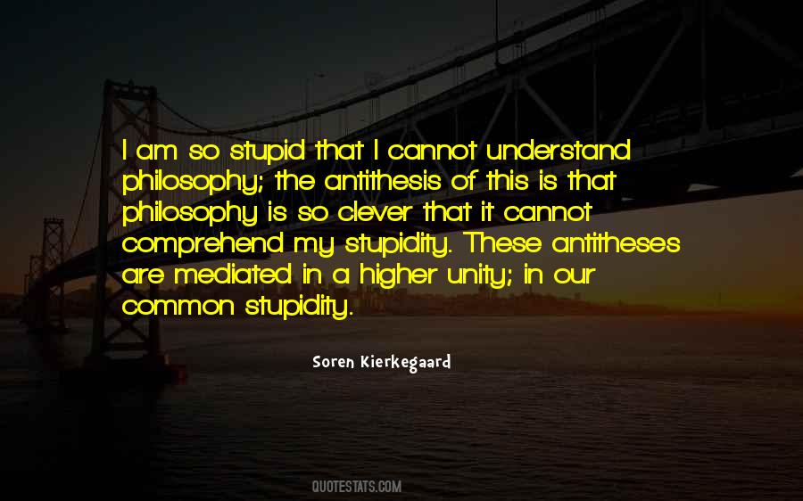 I Am So Stupid Quotes #1010762