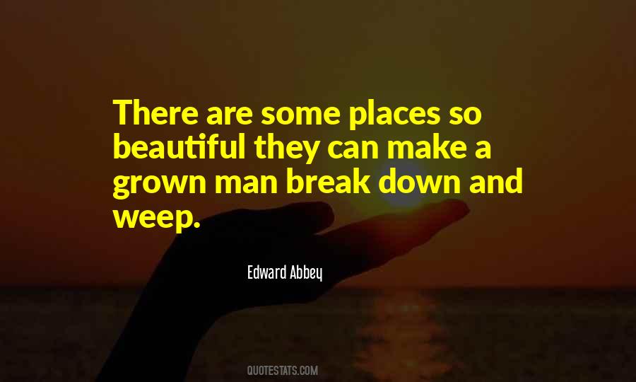 A Natural Beauty Quotes #1168083
