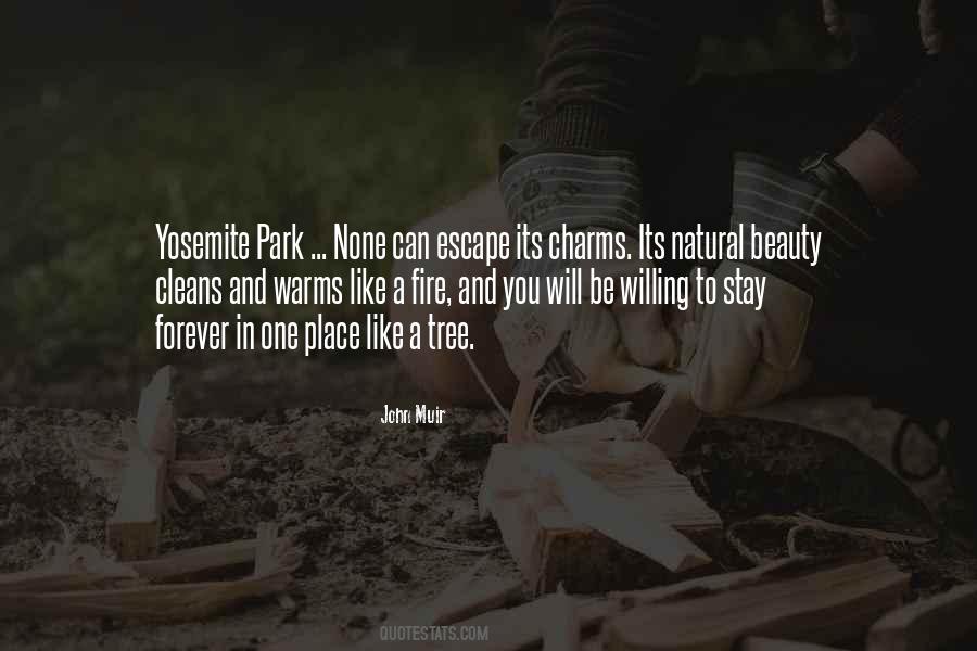 A Natural Beauty Quotes #151098