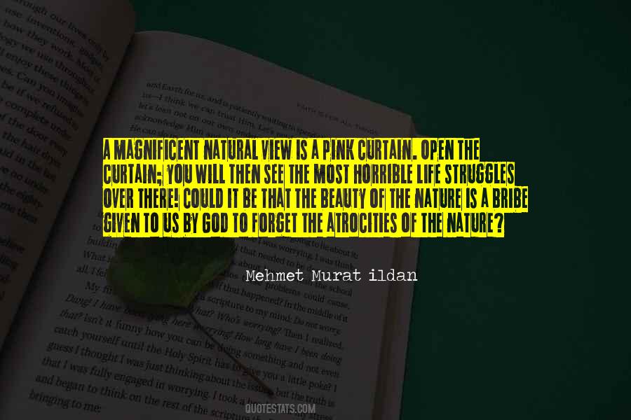 A Natural Beauty Quotes #573543