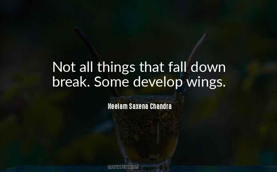 Things Break Down Quotes #1451110