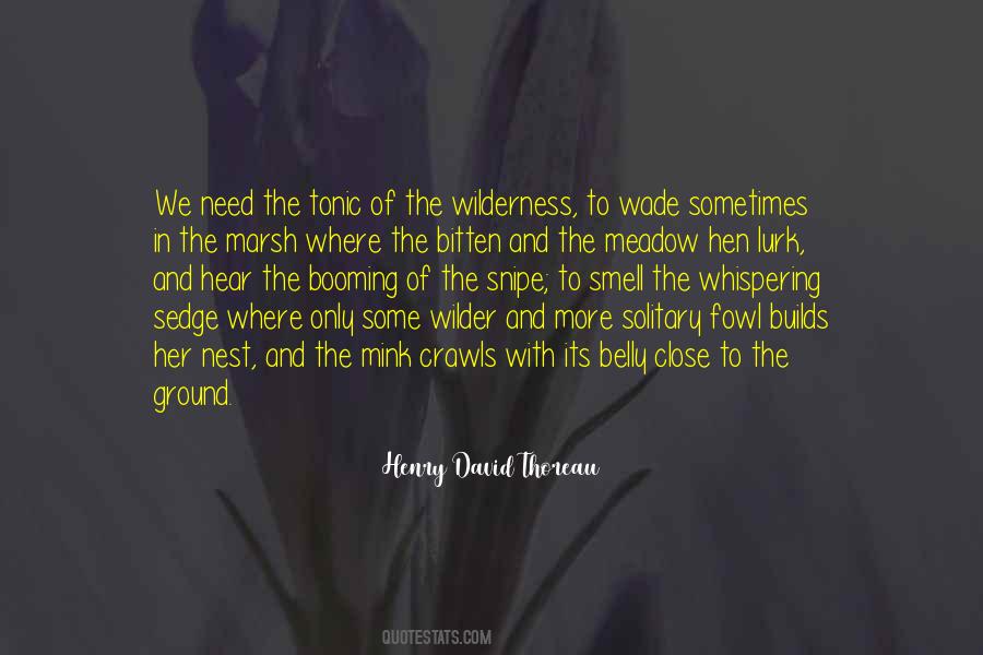 Need Adventure Quotes #295463
