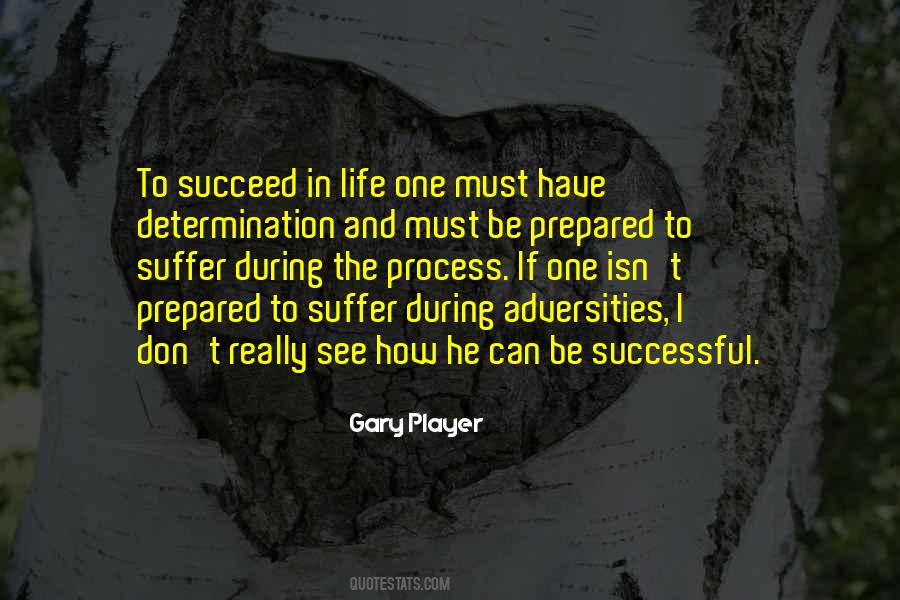I Can Succeed Quotes #980868