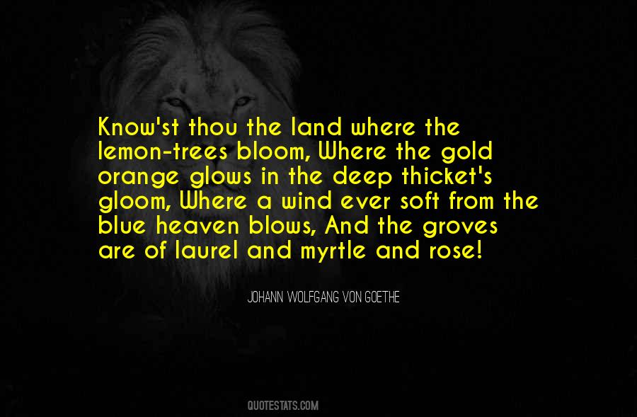 Orange And Lemon Quotes #1426572