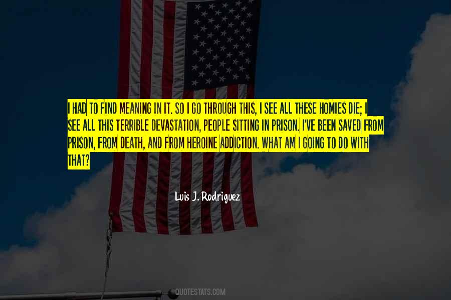 What I Am Going Through Quotes #1800424