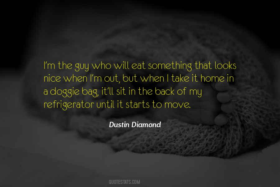 Nice Bag Quotes #1833832