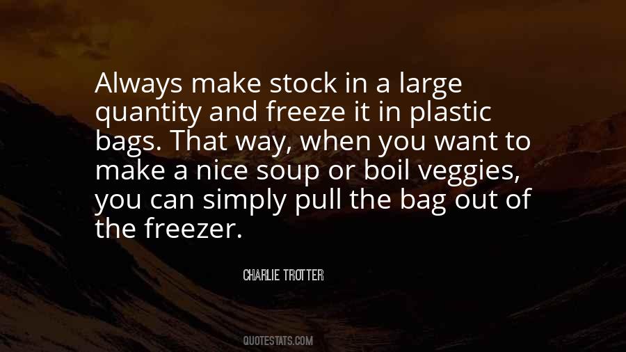 Nice Bag Quotes #537921