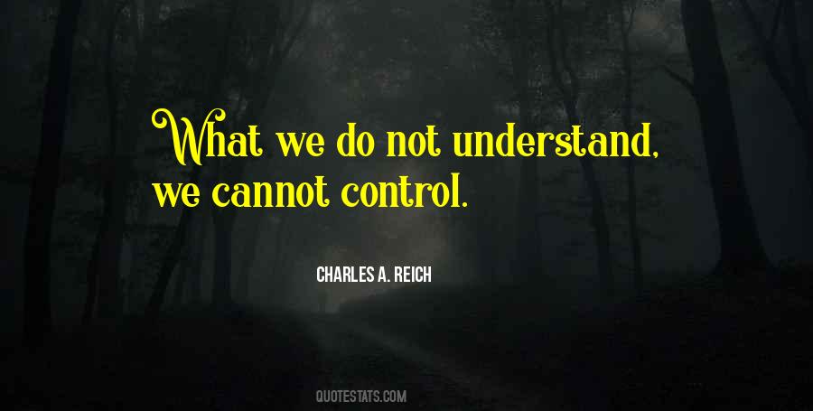 Do Not Understand Quotes #1015267