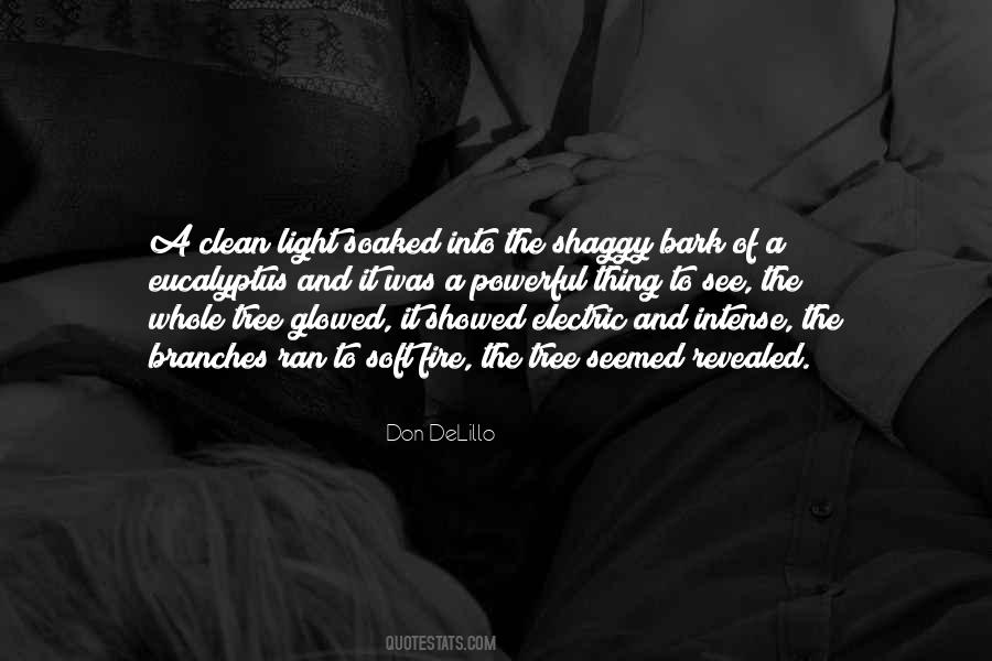 Electric Fire Quotes #1815382