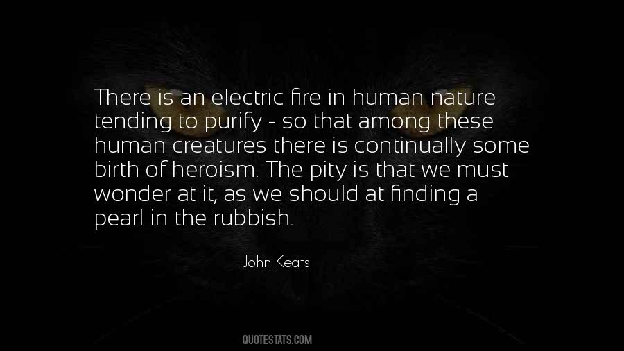 Electric Fire Quotes #211744
