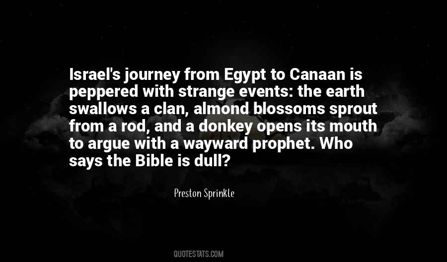 Its The Journey Quotes #584323