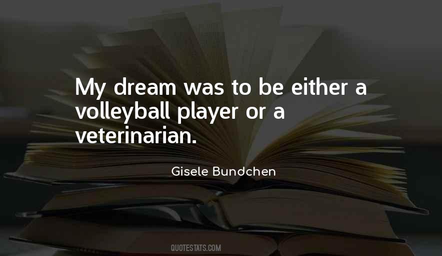 Quotes About A Volleyball Player #1172425