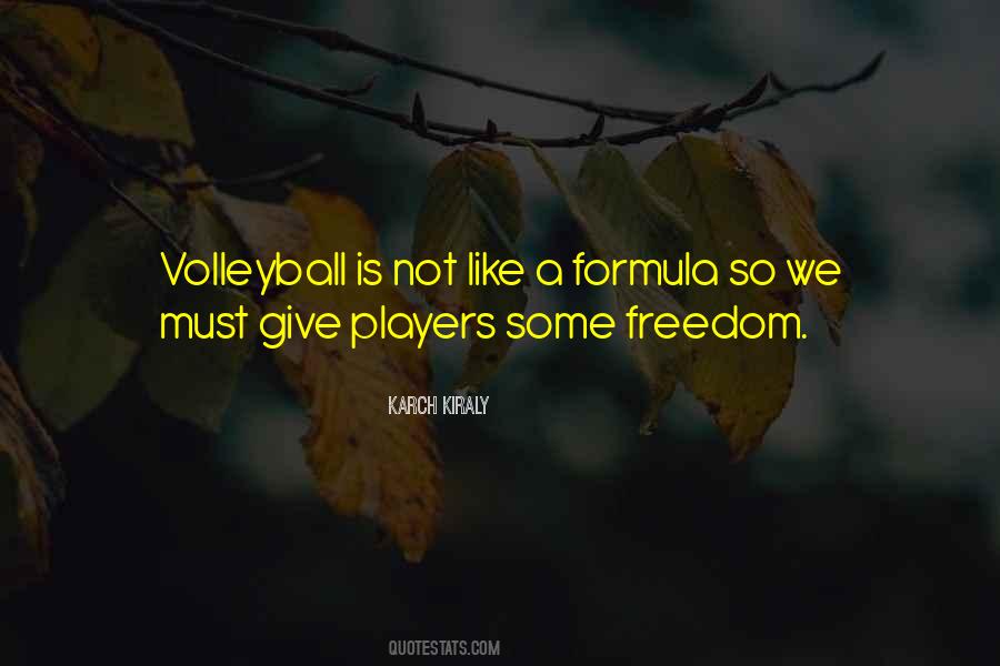 Quotes About A Volleyball Player #150718