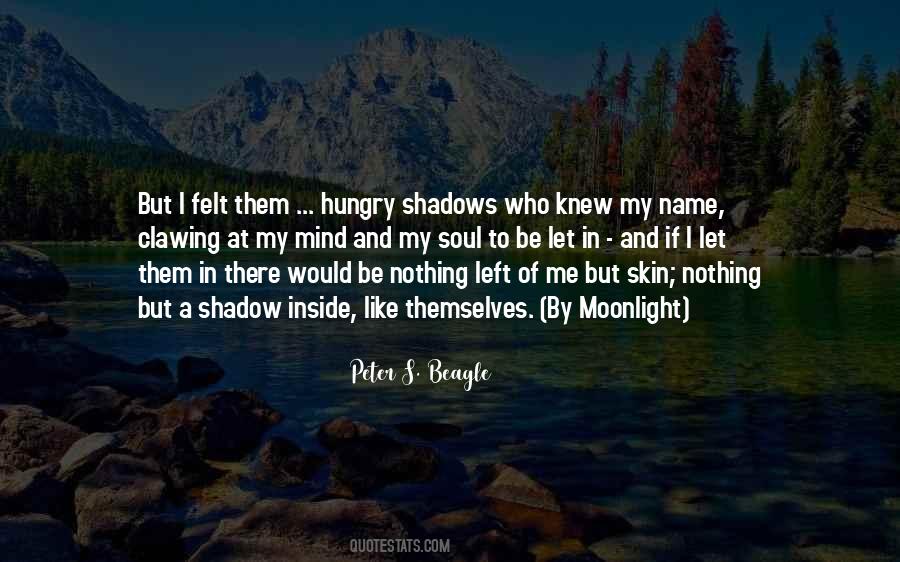 Me And My Shadow Quotes #1622168