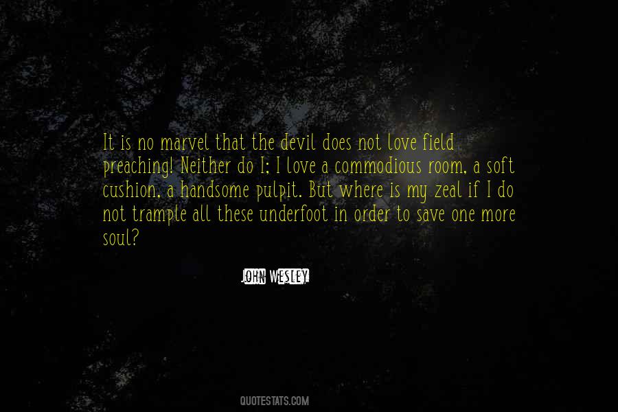 Handsome Devil Quotes #66023