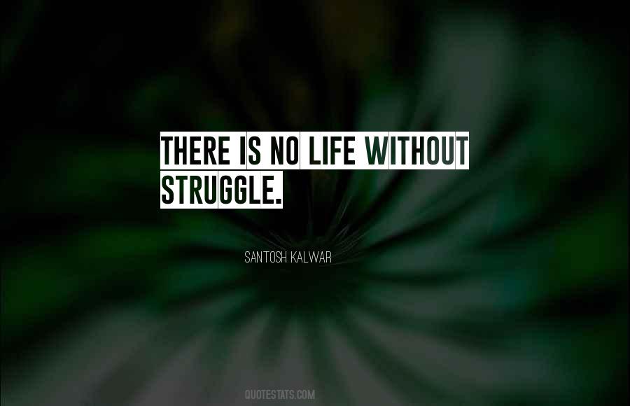 Without Struggle Quotes #773493