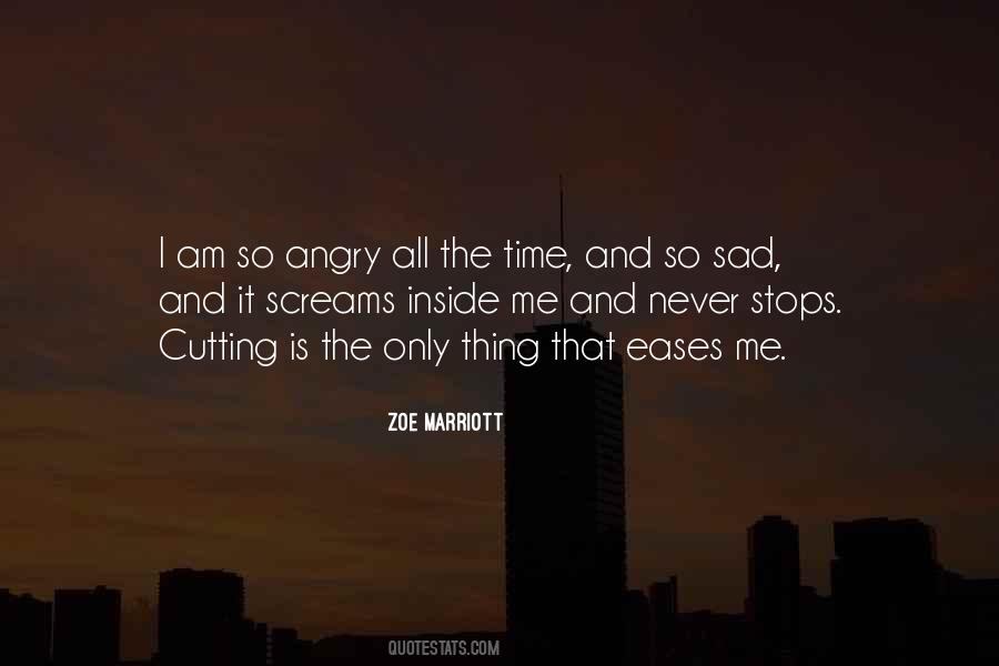 I Am So Angry Quotes #1654597