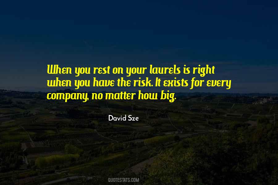 Big Company Quotes #1435617
