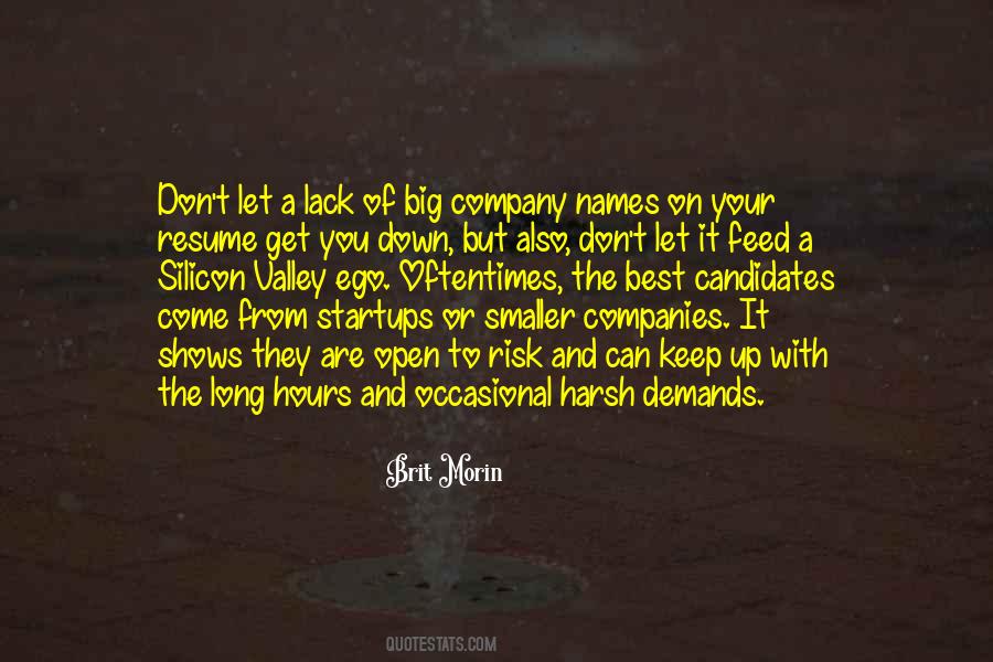 Big Company Quotes #1768609