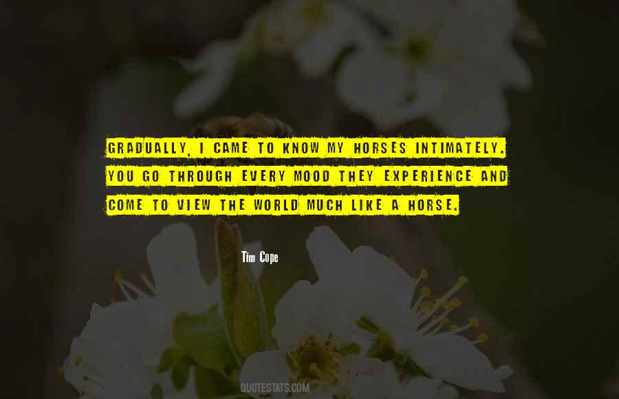 Horse View Quotes #1747323