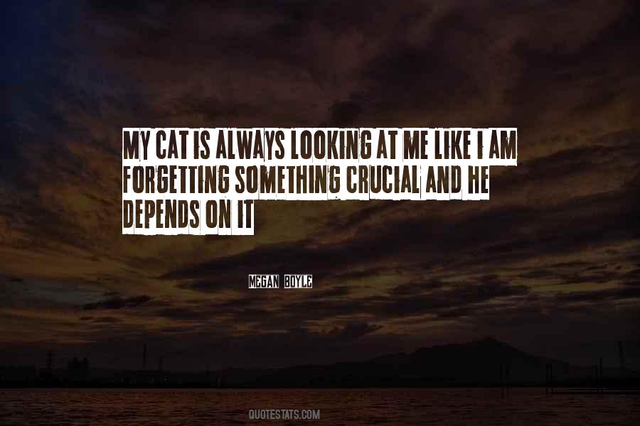 My Cats Quotes #771780
