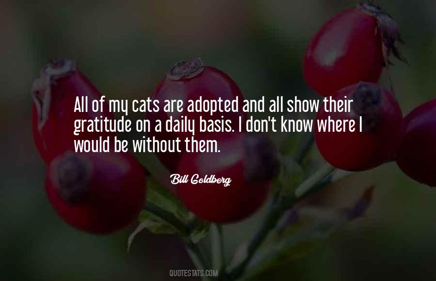 My Cats Quotes #800942