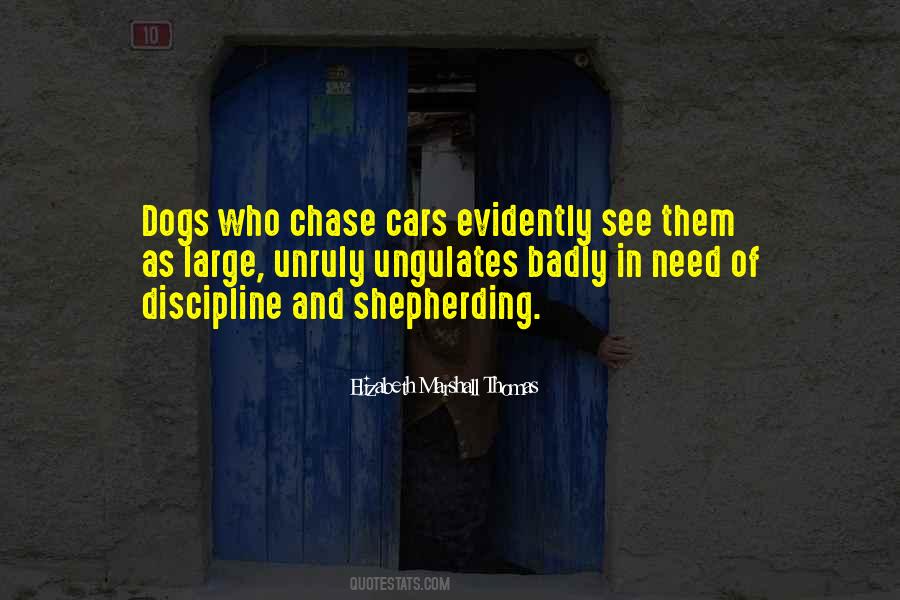 Dogs In Car Quotes #1278822