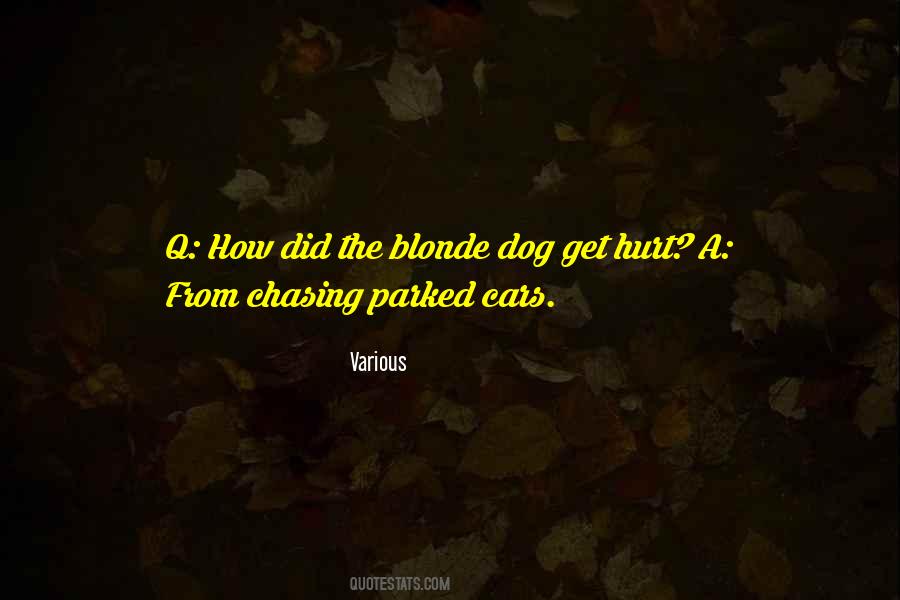 Dog Chasing Cars Quotes #317190 Dog Chasing Cars Quotes #317190