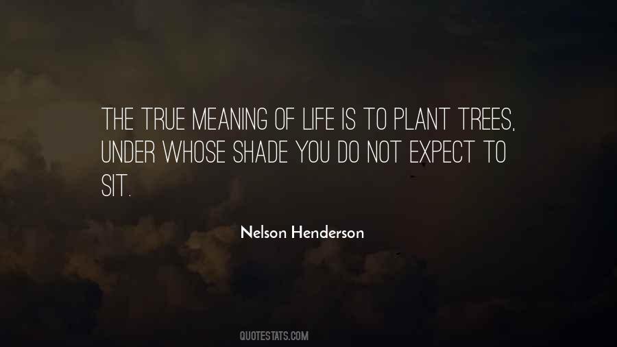 Trees Shade Quotes #515710