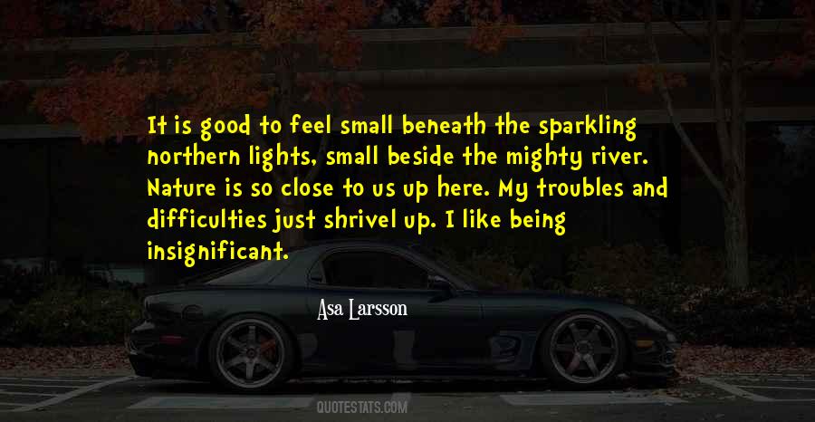 We May Be Small But We Are Mighty Quotes #487477