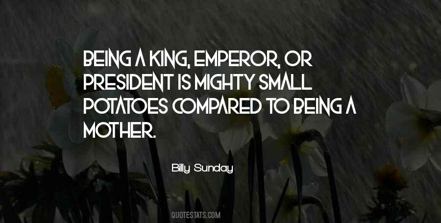 We May Be Small But We Are Mighty Quotes #884166