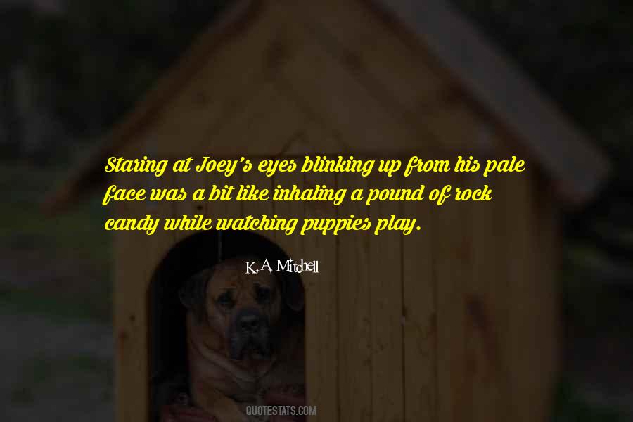Pound The Rock Quotes #1214236