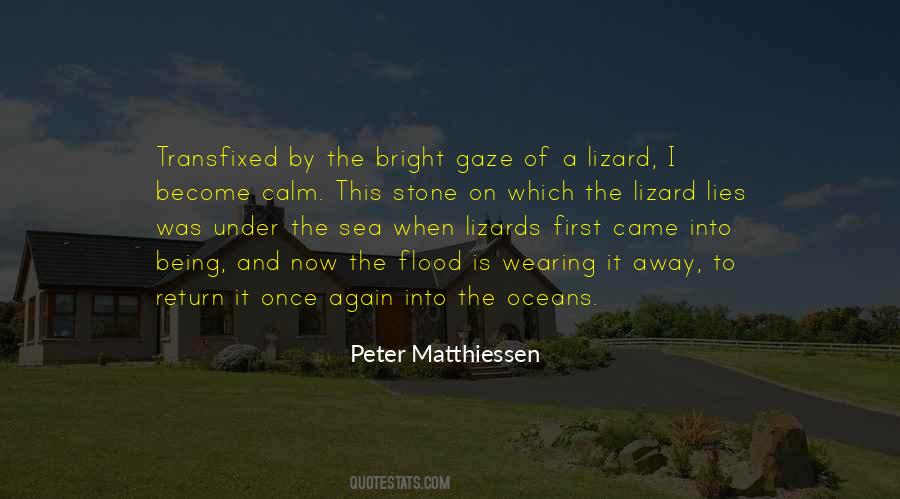 First Beauty Quotes #1178861