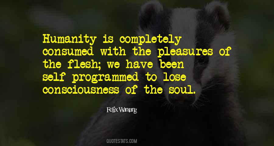 Soul Consciousness Quotes #1101860