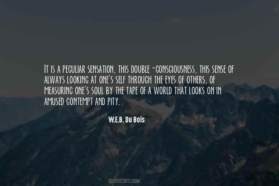 Soul Consciousness Quotes #1617247