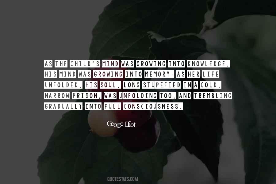 Soul Consciousness Quotes #1744093