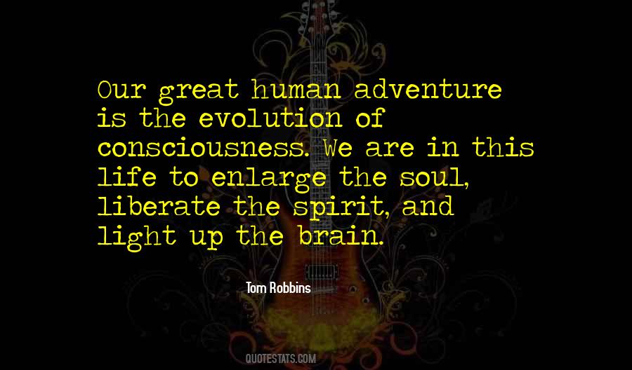Soul Consciousness Quotes #1749328