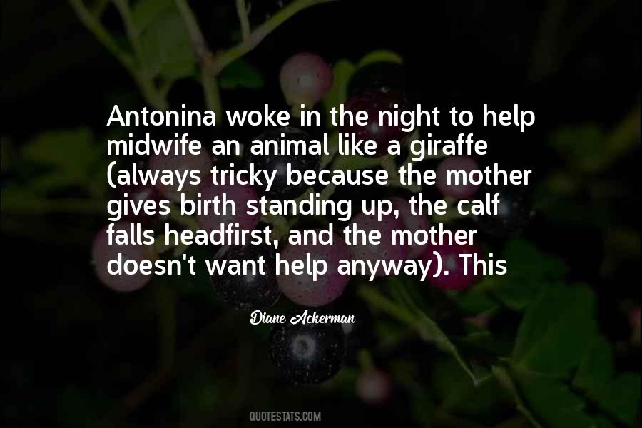 Quotes About A Giraffe #1306080