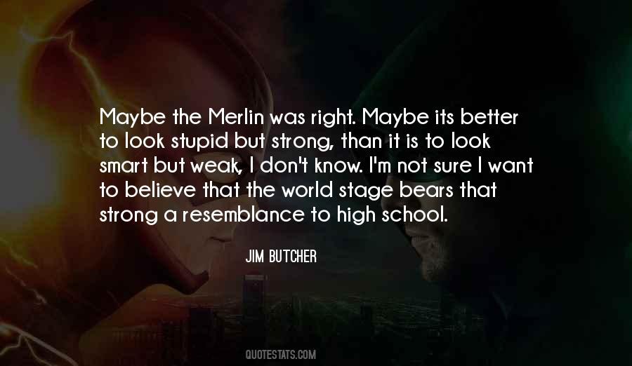 Stupid High Quotes #1854515