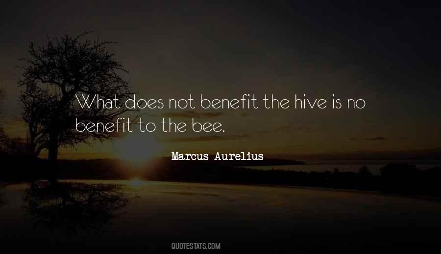 Quotes About Hive #1163674