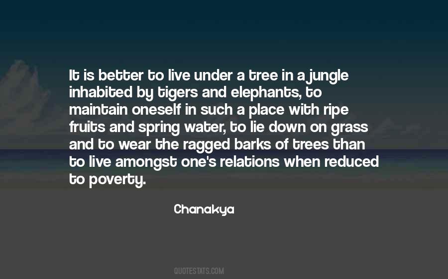 Lying On The Grass Quotes #1578179