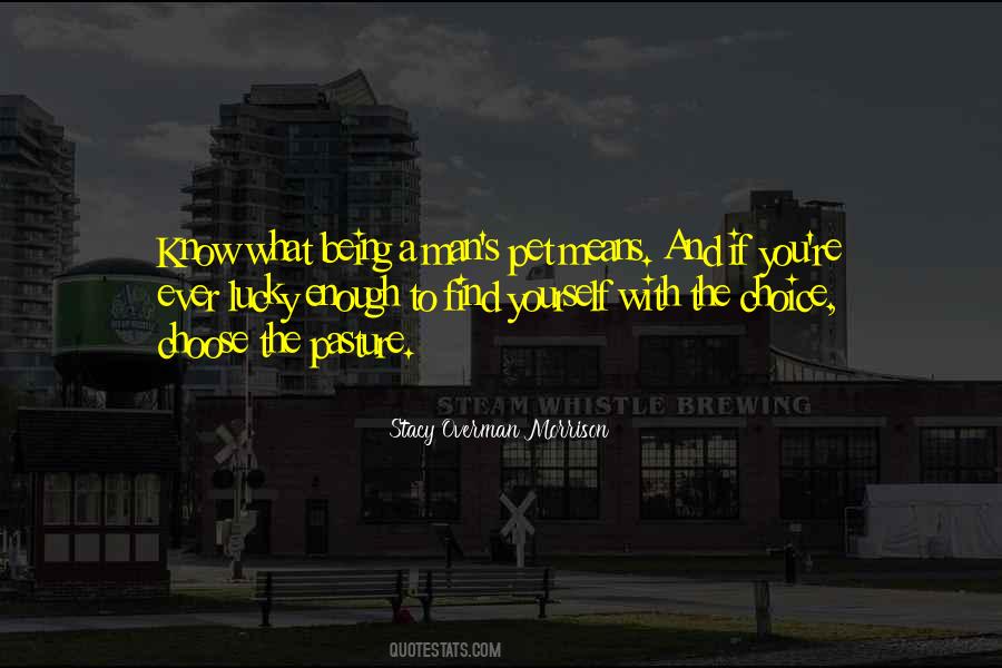If You Ever Find Yourself Quotes #1641947